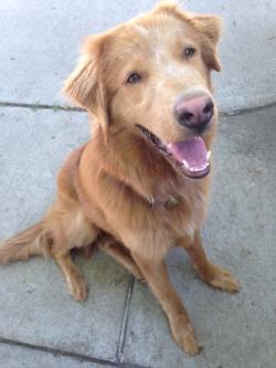 Fundraising Page Image