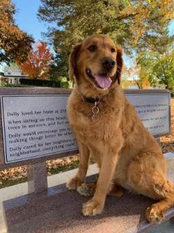 Fundraising Page Image