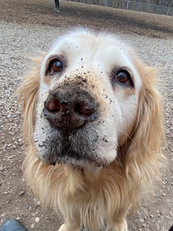 Fundraising Page Image