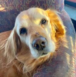 Fundraising Page Image