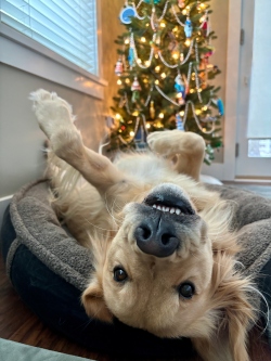 Fundraising Page Image