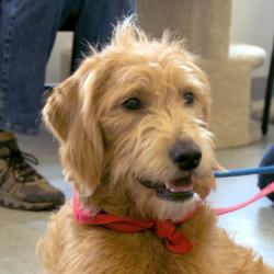 Fundraising Page Image