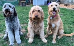 Fundraising Page Image