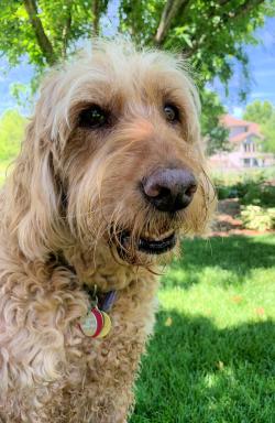 Fundraising Page Image