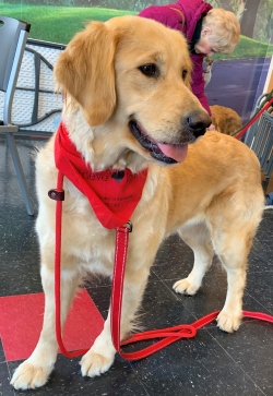 Fundraising Page Image