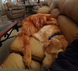 Fundraising Page Image