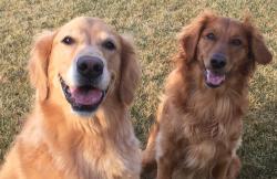 Fundraising Page Image