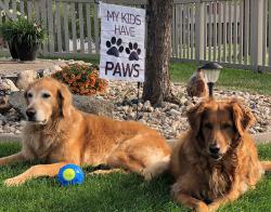 Fundraising Page Image