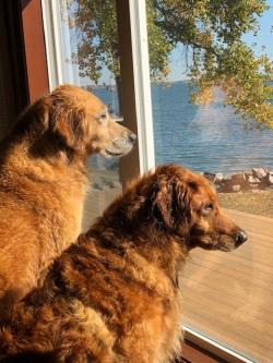 Fundraising Page Image