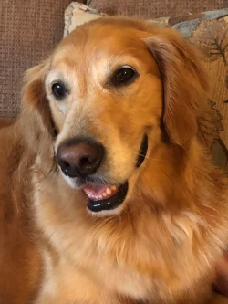 Fundraising Page Image