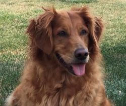 Fundraising Page Image