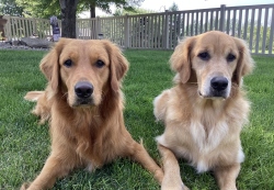 Fundraising Page Image