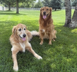 Fundraising Page Image