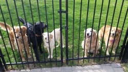 Fundraising Page Image