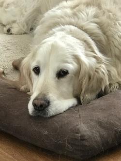 Fundraising Page Image