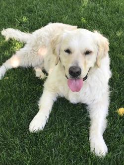 Fundraising Page Image