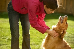 Fundraising Page Image