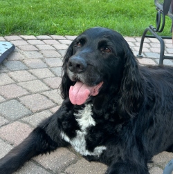 Fundraising Page Image