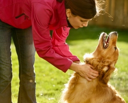 Fundraising Page Image