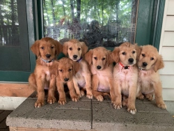 Fundraising Page Image