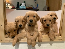 Fundraising Page Image