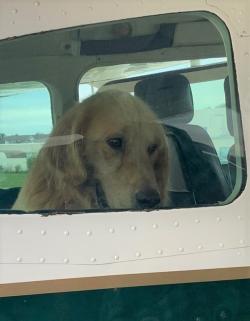 Fundraising Page Image