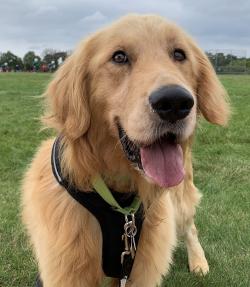 Fundraising Page Image