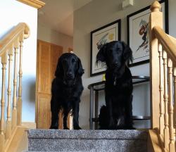 Fundraising Page Image