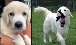 Fundraising Page Image