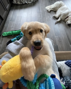 Fundraising Page Image