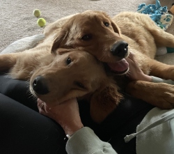 Fundraising Page Image