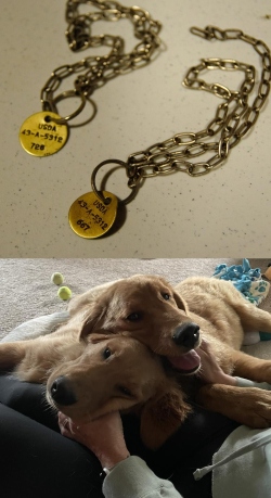 Fundraising Page Image