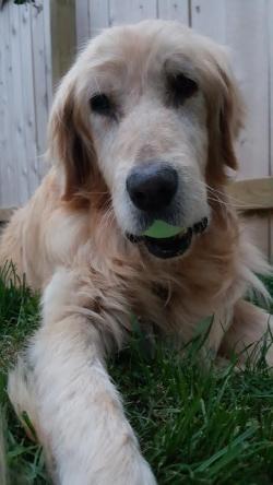 Fundraising Page Image