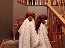 Fundraising Page Image