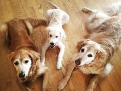 Fundraising Page Image