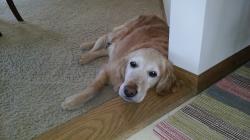 Fundraising Page Image