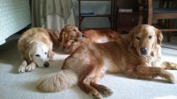 Fundraising Page Image