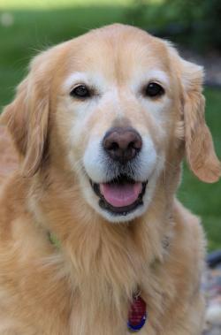 Fundraising Page Image