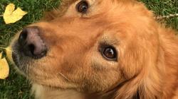 Fundraising Page Image