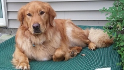 Fundraising Page Image