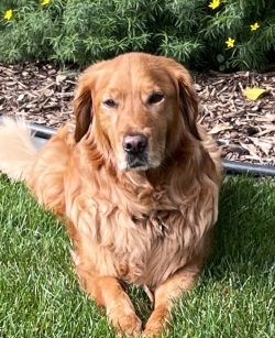 Fundraising Page Image