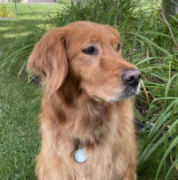 Fundraising Page Image