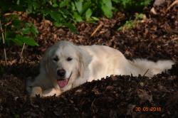 Fundraising Page Image