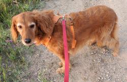 Fundraising Page Image