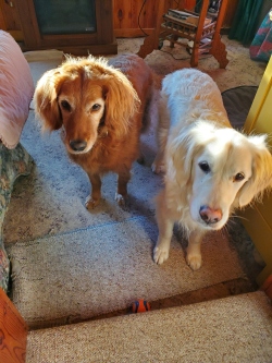 Fundraising Page Image