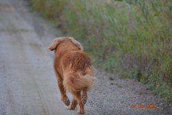 Fundraising Page Image