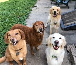 Fundraising Page Image