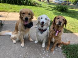 Fundraising Page Image