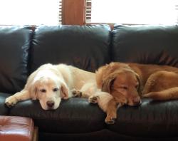 Fundraising Page Image