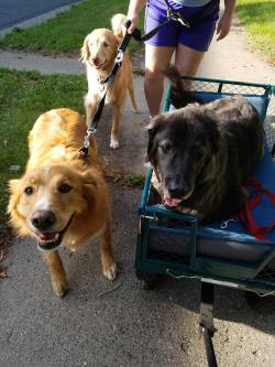 Fundraising Page Image